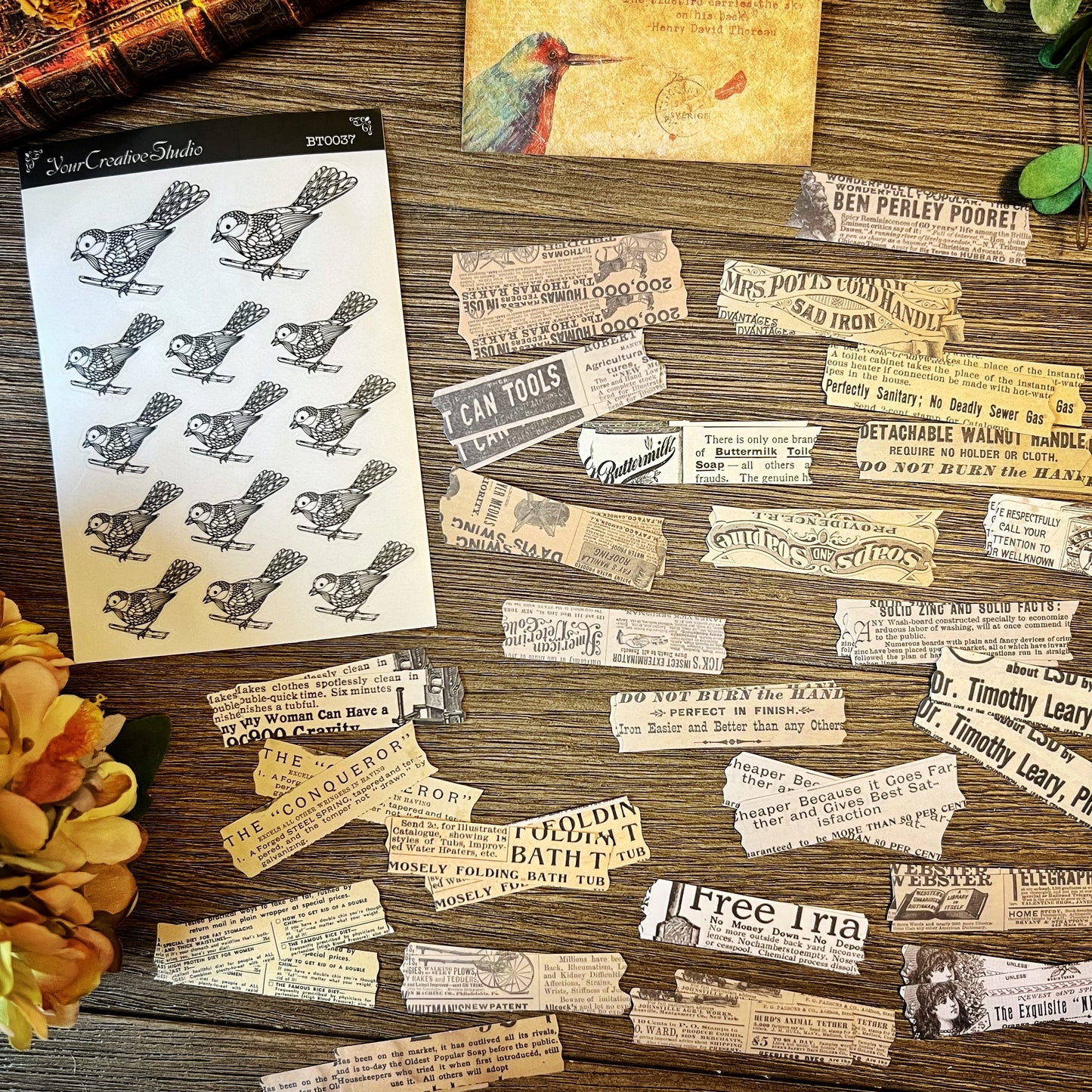 Vintage Bird themed Collection -DVM9P4IB2AF
