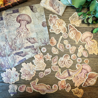Vintage Shell themed Collection -DVW6QUDLJSP