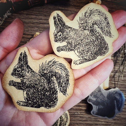Your Creative Studio Cling Stamp Squirrel Side CLS 0014