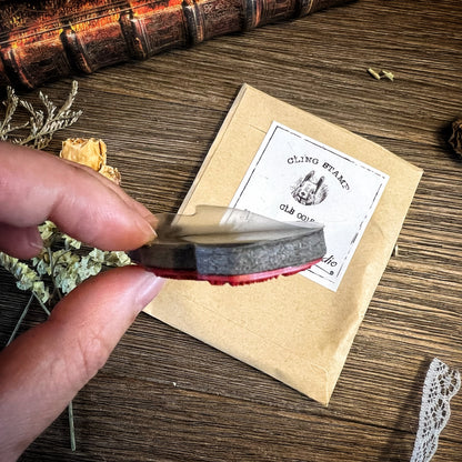 Your Creative Studio Stamp Squirrel CLS 0015